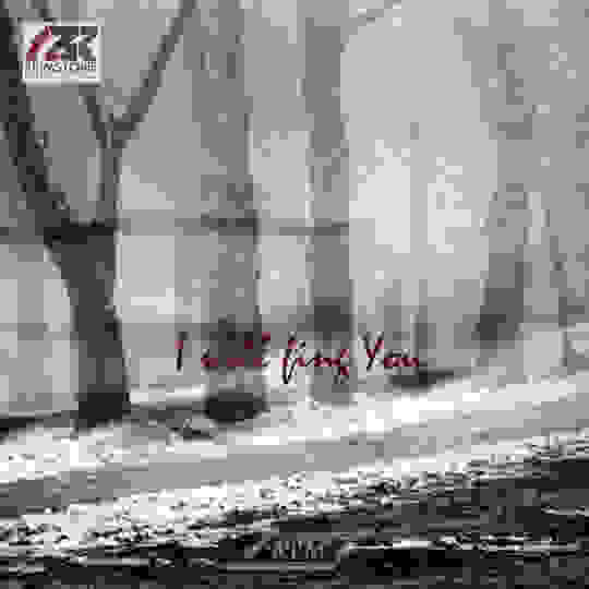 Release 'I Will Find You' Front Cover